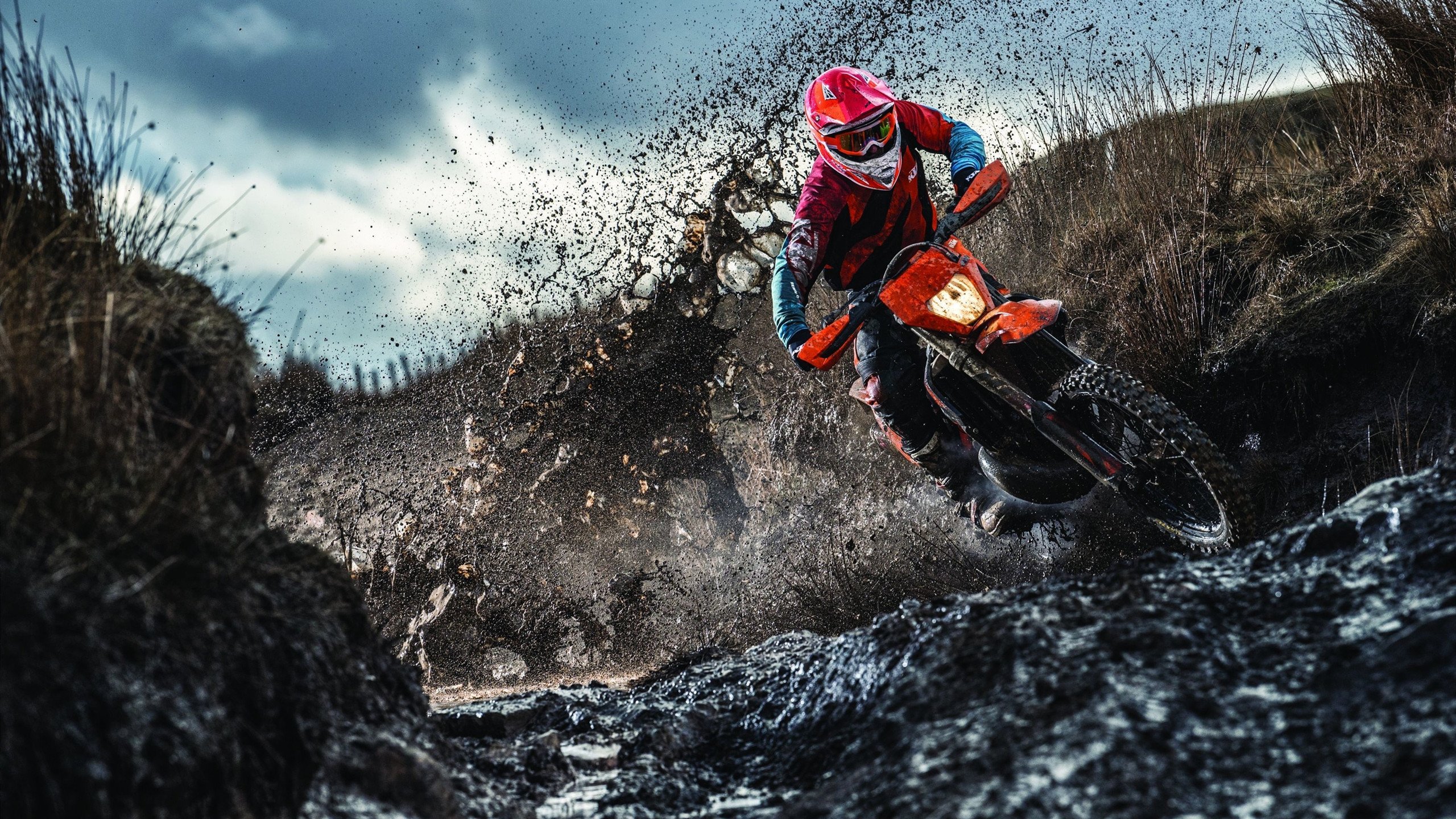 字母哥自掏腰包资助非洲青训项目，成篮球慈善先锋，字母哥非洲哪个国家